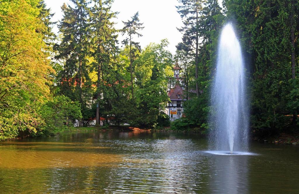 Bukowy Dworek Szczawno-Zdroj Kültér fotó